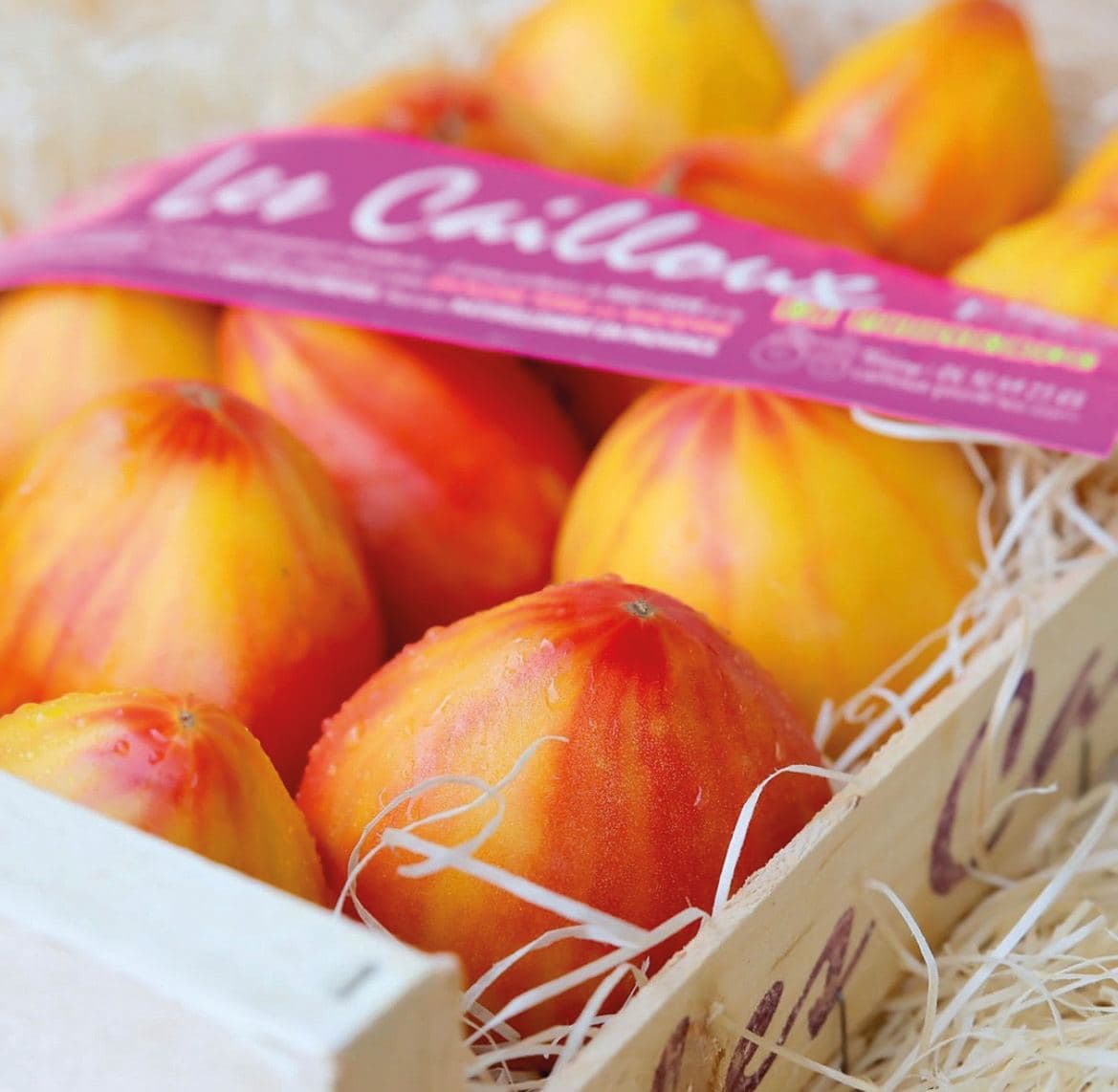 Les Cailloux en Provence, photo 6