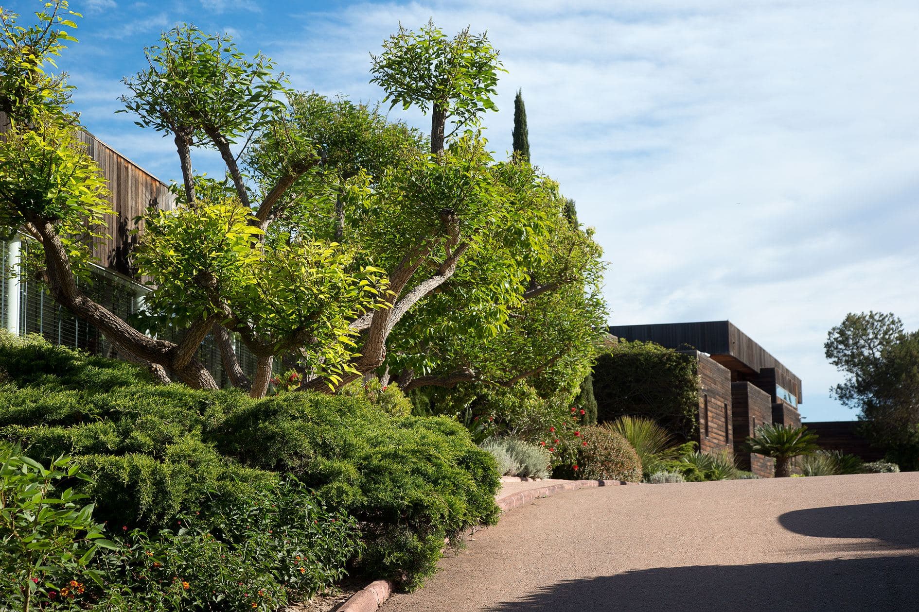 Casadelmar, photo 11