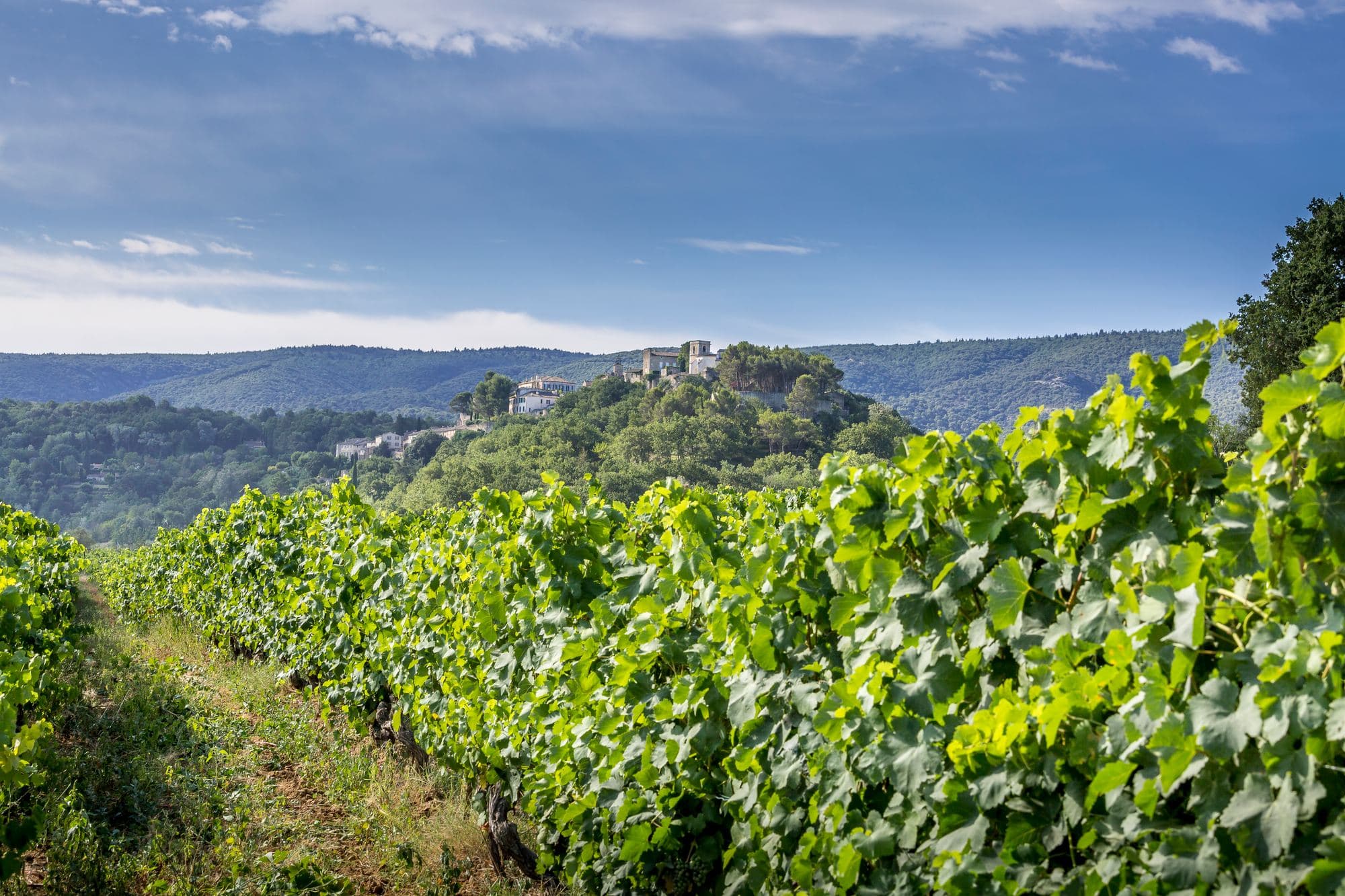 Domaine de La Citadelle, photo 9