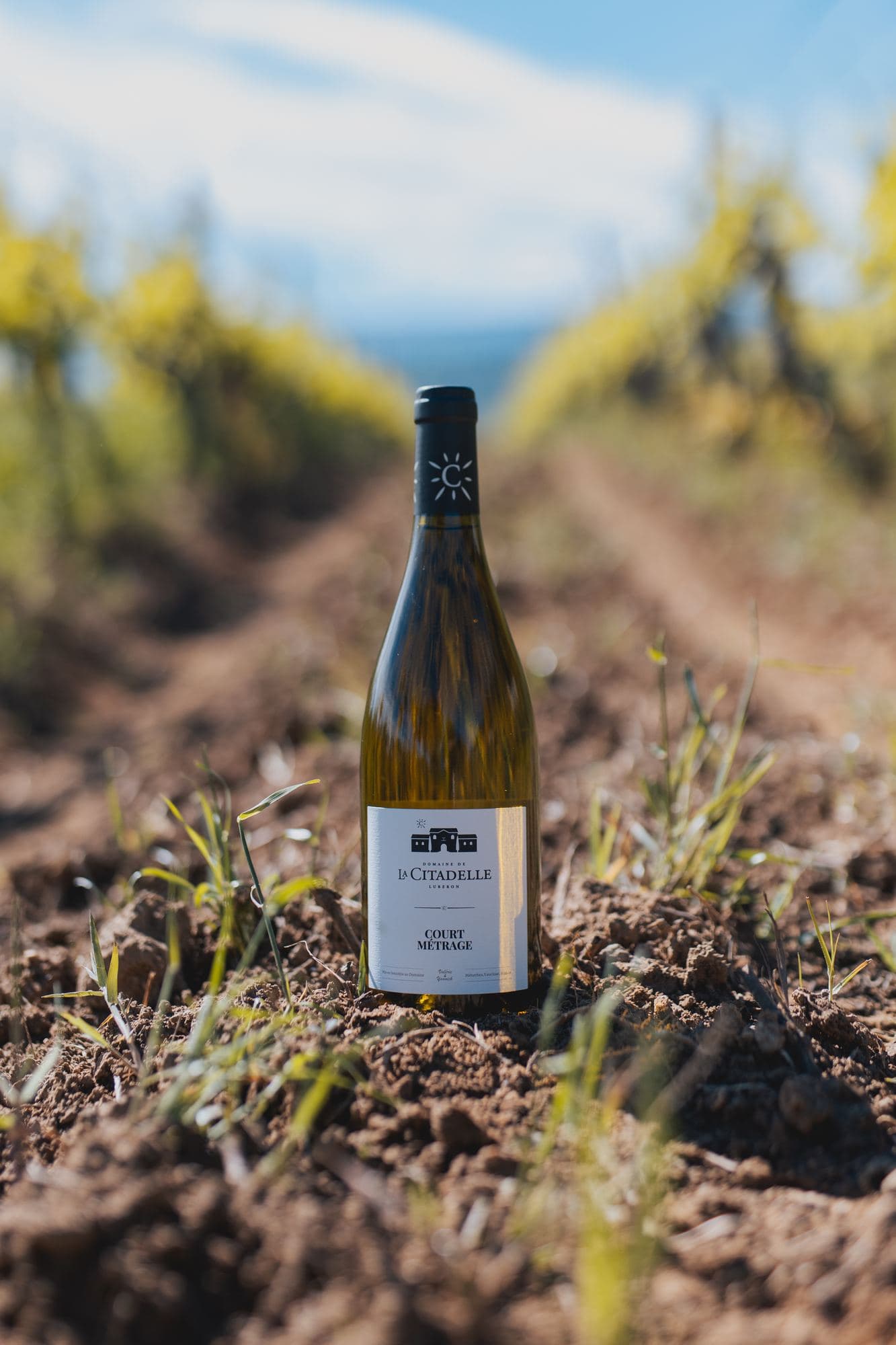 Domaine de La Citadelle, photo 11