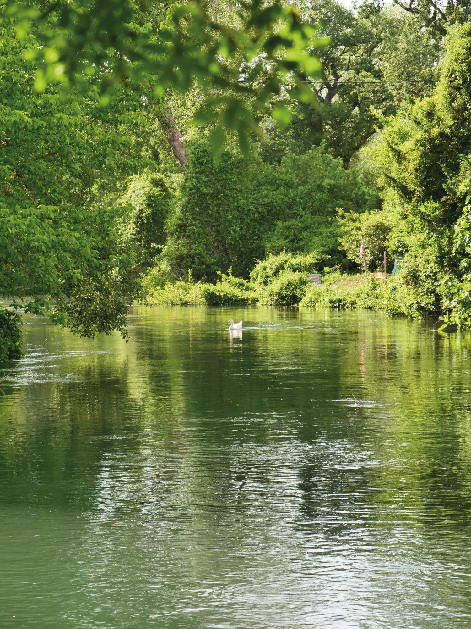 La Bastide Rose, photo 3