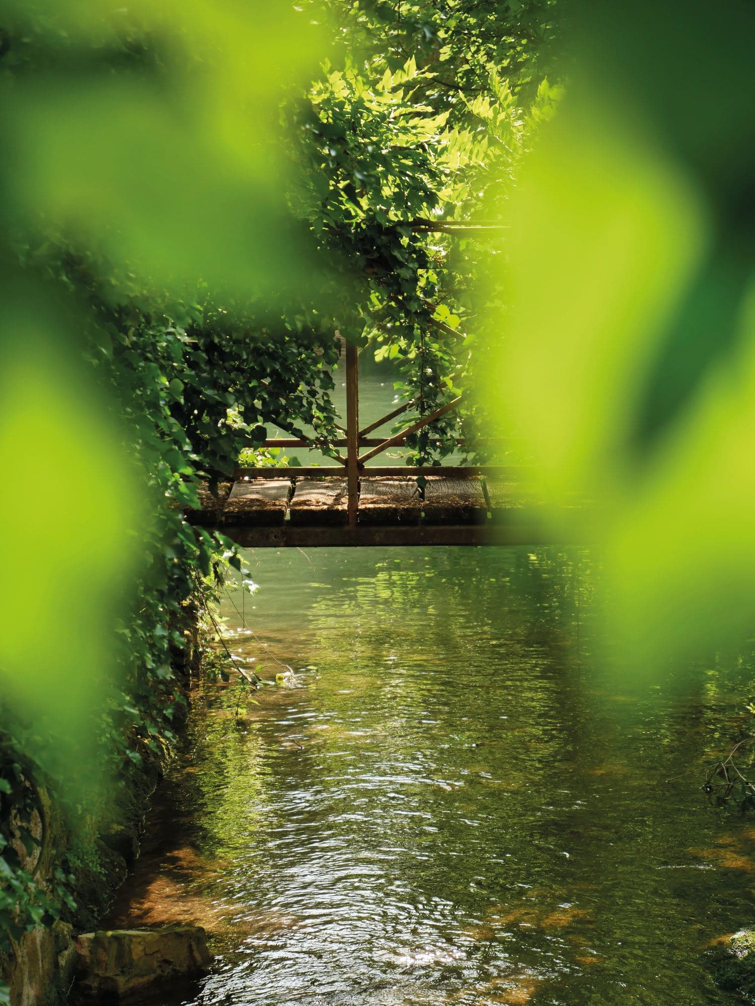 La Bastide Rose, photo 8