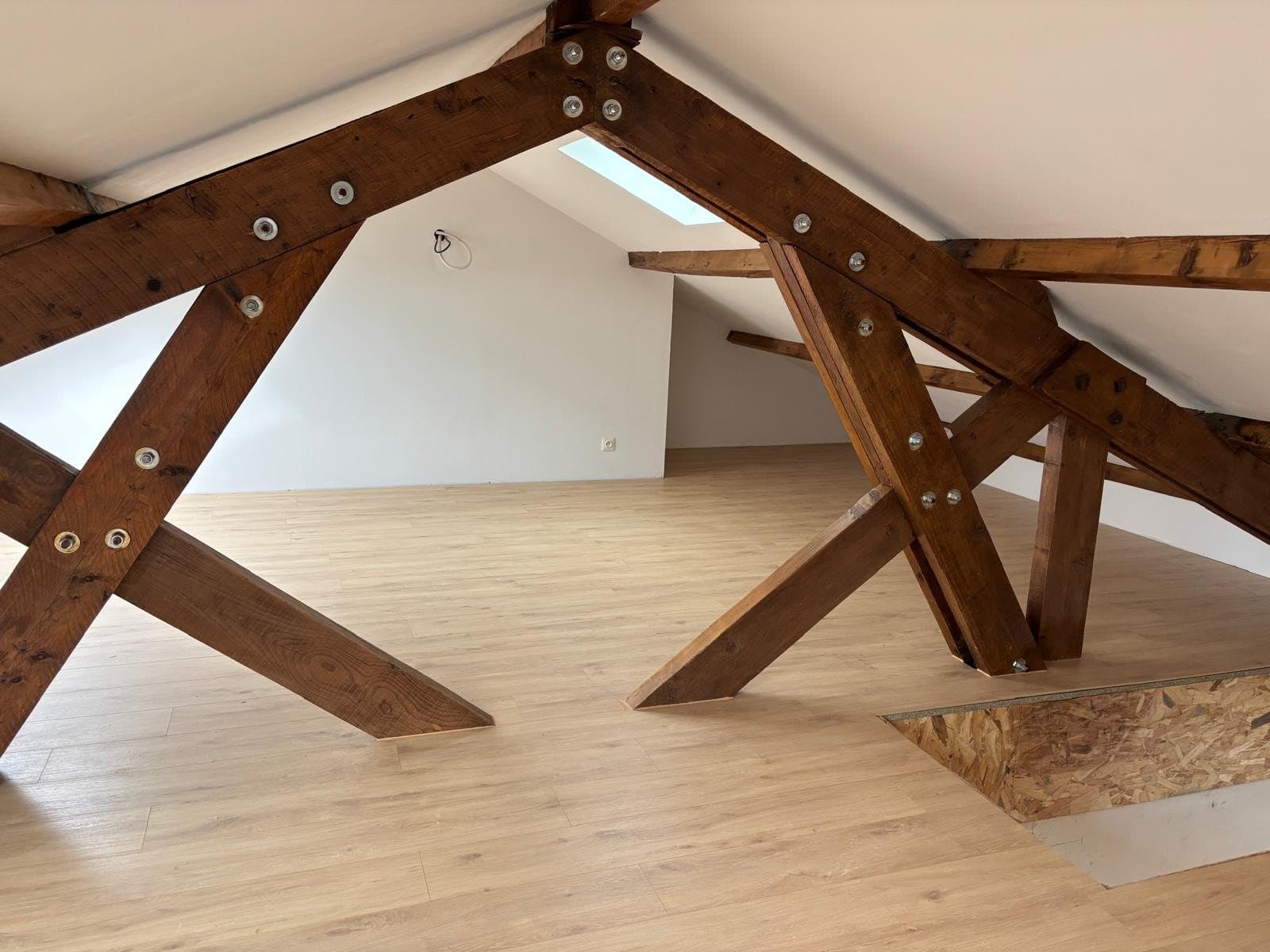 Ludovic Dol, photo 12
