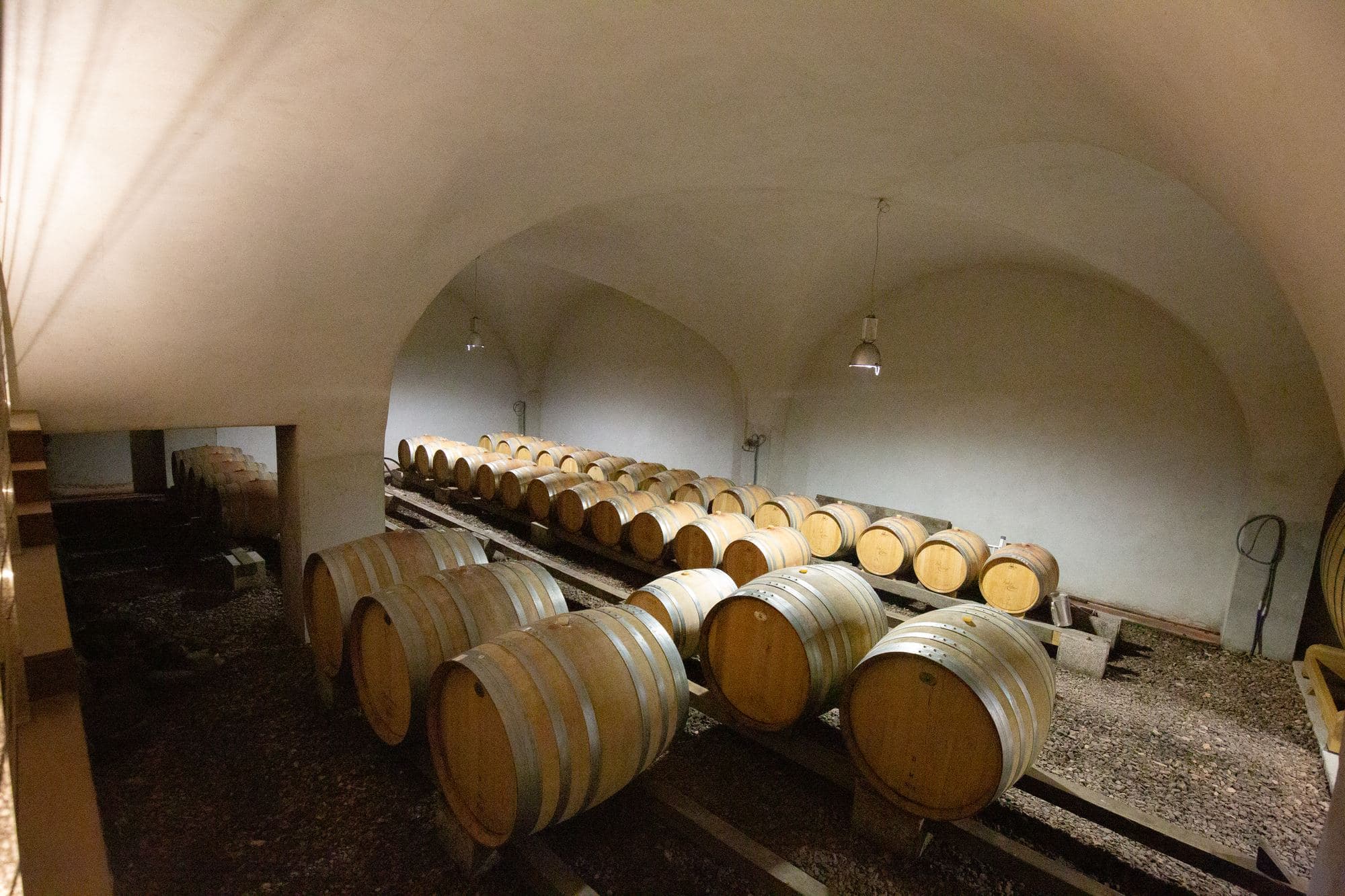 Domaine Petra Bianca, photo 3