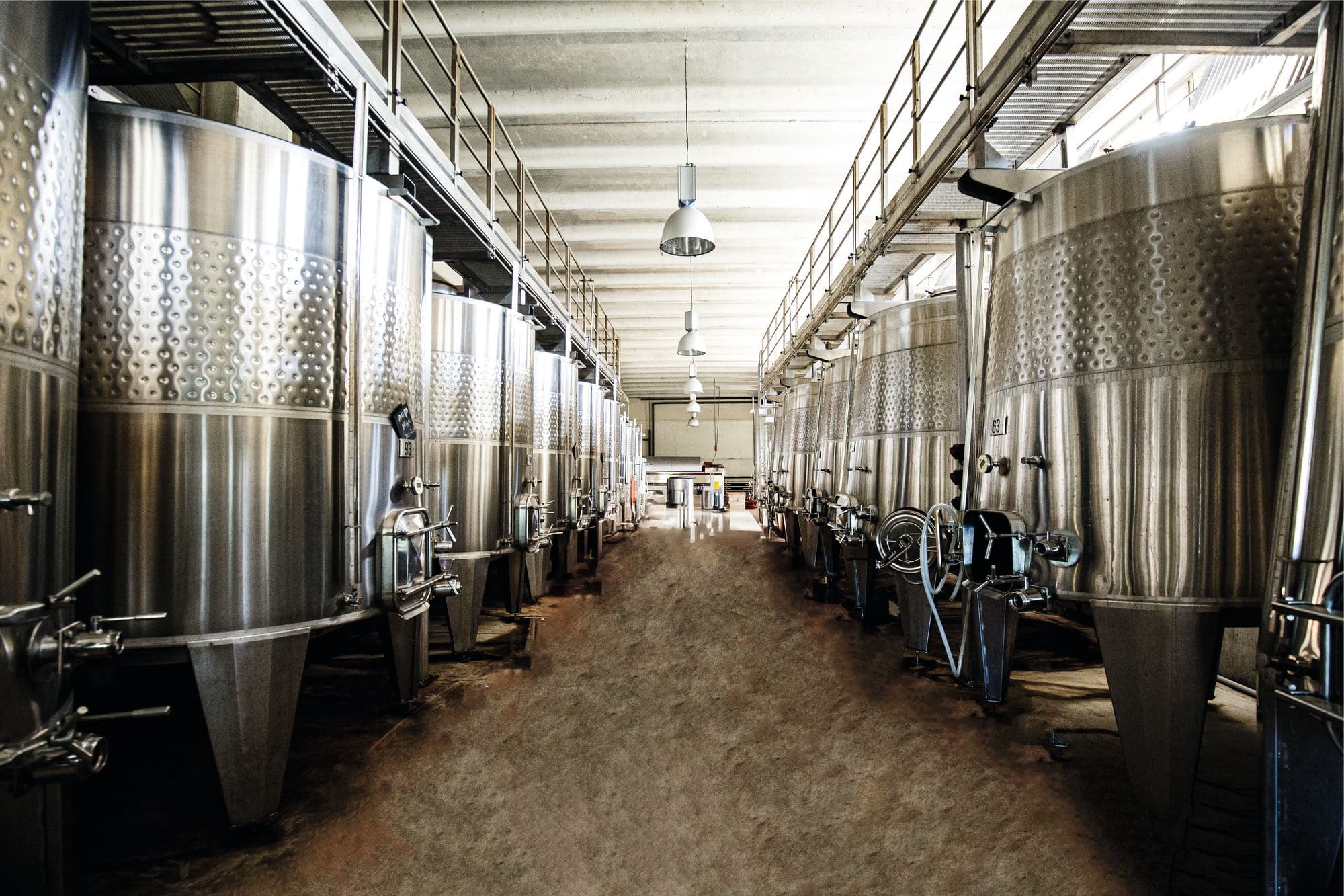Domaine Petra Bianca, photo 4
