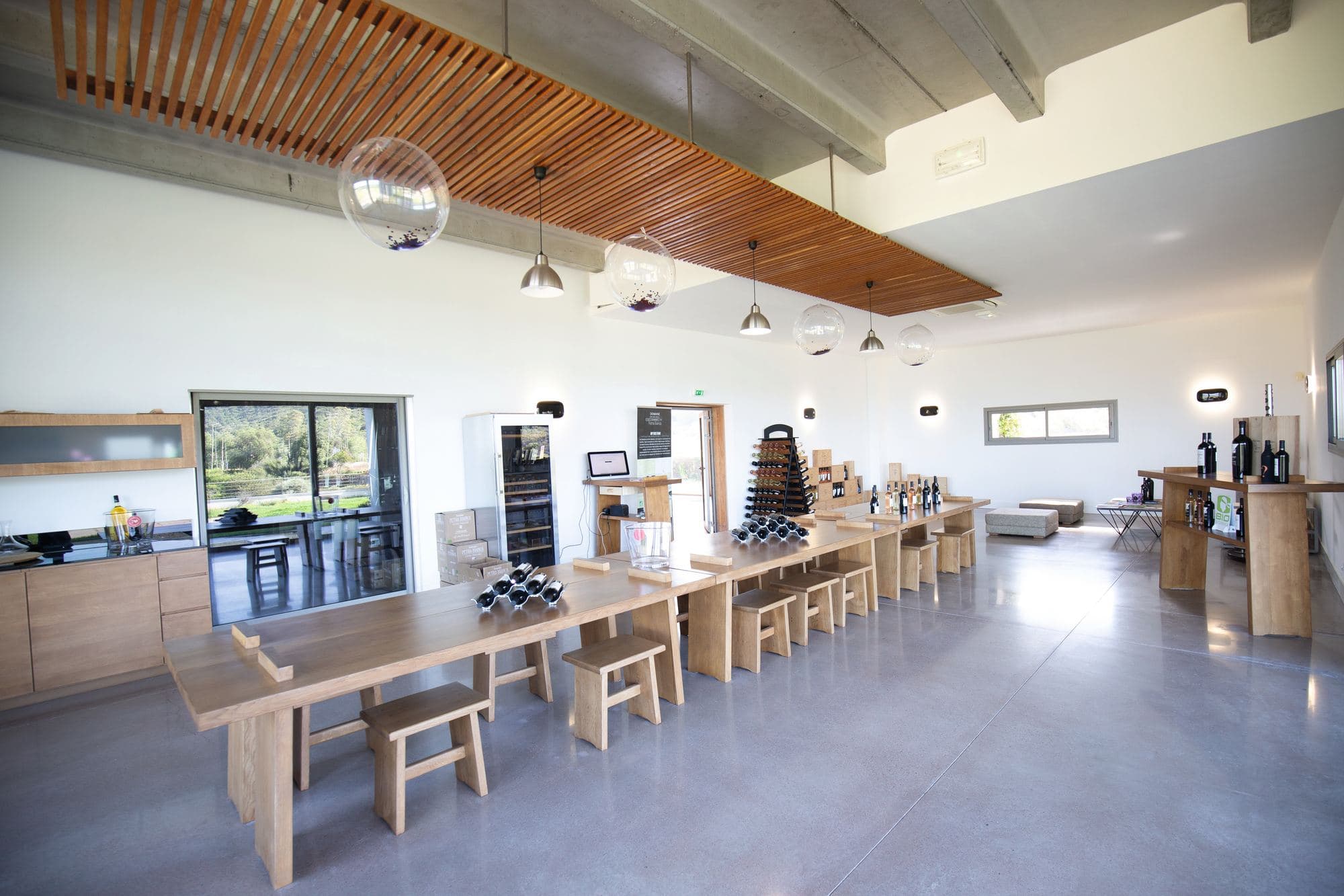 Domaine Petra Bianca, photo 5