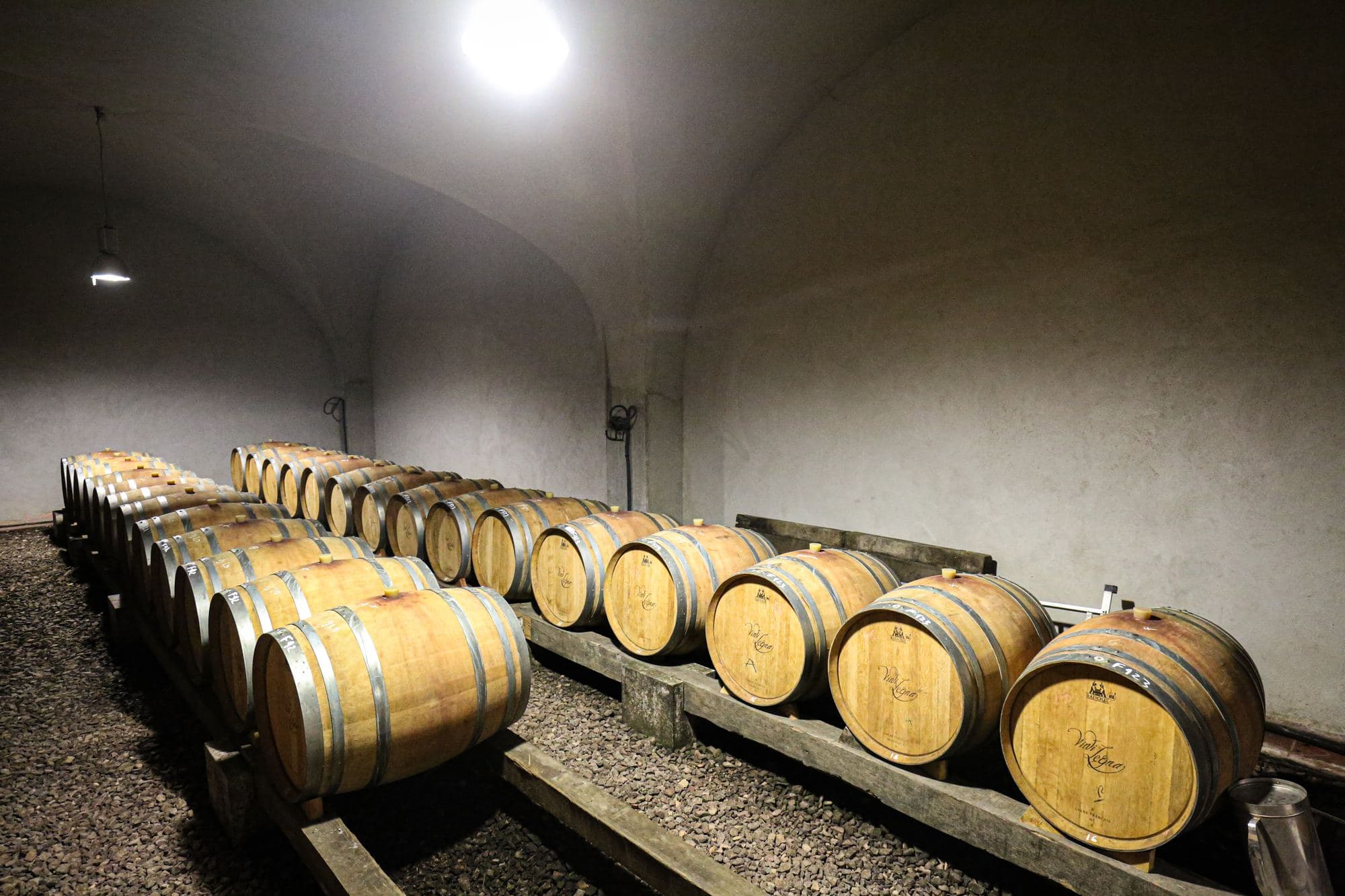 Domaine Petra Bianca, photo 6