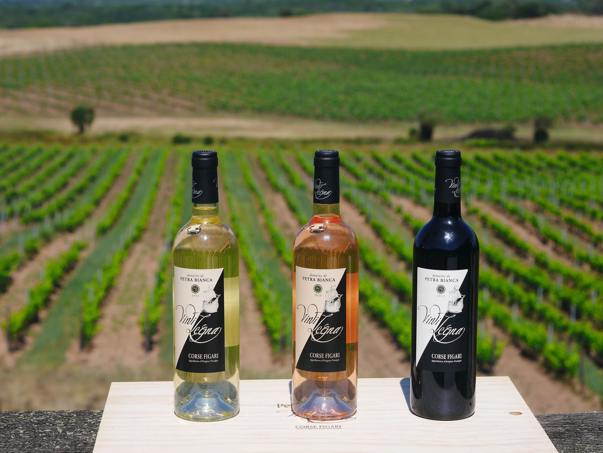 Domaine Petra Bianca, photo 8